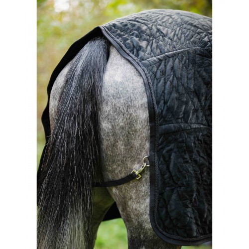 Montar Velvet Showrug
