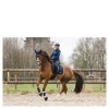 ANKY Saddle Pad Leafs Dressage
