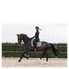 ANKY Saddle Pad Velvet Stones Dressage