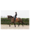 ANKY Saddle Pad Velvet Stones Dressage