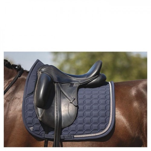 ANKY Nylon Pad Luminous Dressage XB24003