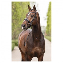 ANKY snaffle bridle ATH16003