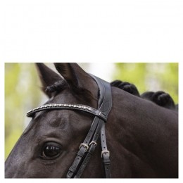 ANKY bridle Comfort Fit Double Anatomical ATH19002