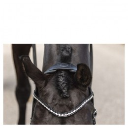 ANKY bridle Comfort Fit Double Anatomical ATH19002