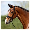 ANKY Bridle ATH20005