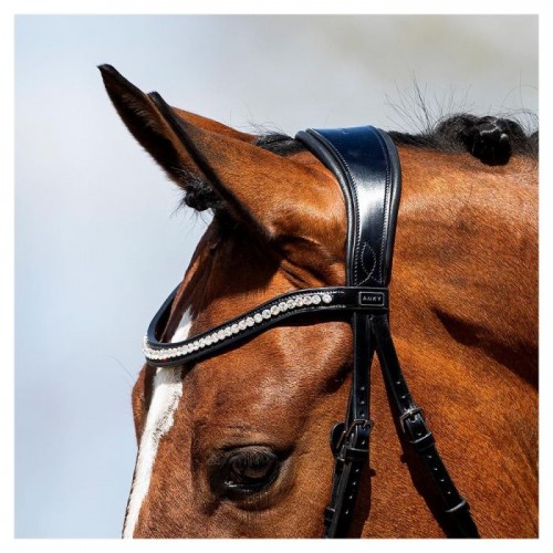 ANKY Bridle ATH20005