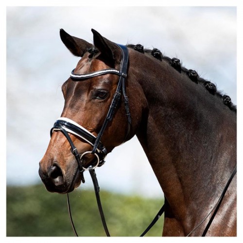 ANKY Bridle ATH20005