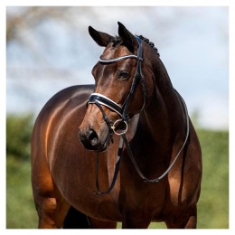 ANKY Bridle ATH20005