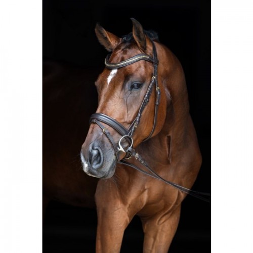 Covalliero Snaffle Bridle Clincher