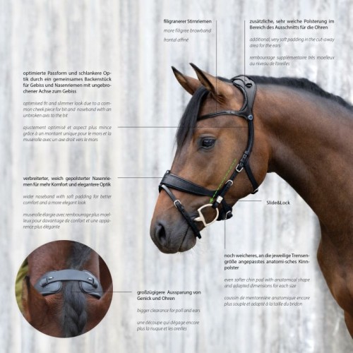 Stübben Bridle Freedom II with Slide