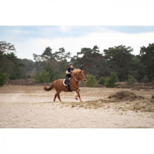 Imperial Riding Bareback Pad Free Ride