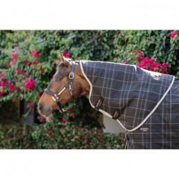 Rhino Stable Hood