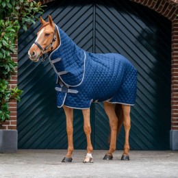 Amigo Stable Plus Medium