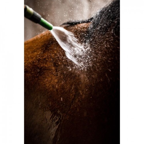 Horseware Autumn Cooler