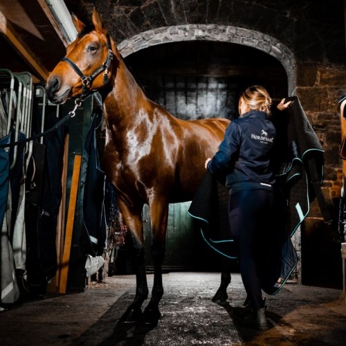 Horseware Autumn Cooler