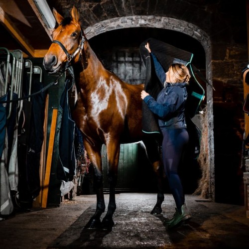 Horseware Autumn Cooler