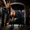 Horseware Autumn Cooler