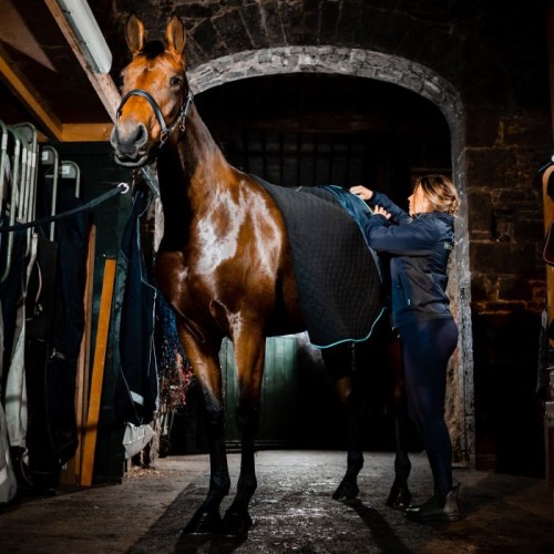Horseware Autumn Cooler