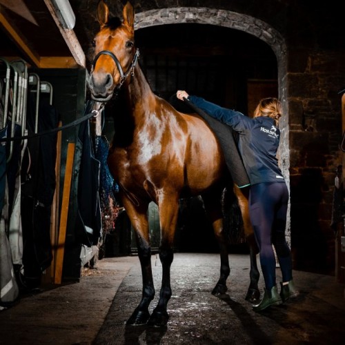 Horseware Autumn Cooler