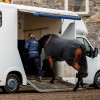Horseware Autumn Cooler
