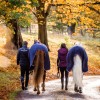 Horseware Embossed Cosy Neck Cooler