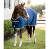 Amigo Jersey Pony Cooler