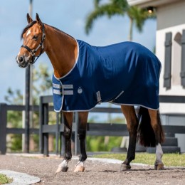 Amigo Stable Sheet
