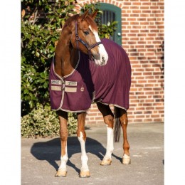 Amigo Stable Sheet