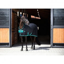 Amigo Stable Sheet