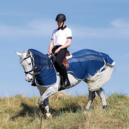 Amigo Fly Rider