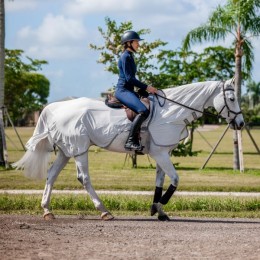 Amigo Fly Rider