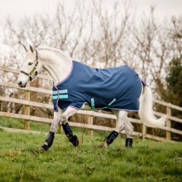 Amigo Hero 900 Pony Lite 0g