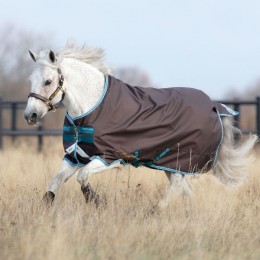 Amigo Bravo 12 Pony Lite