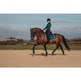 Equestrian Stockholm SS'20 dressage saddlepad Amazonite