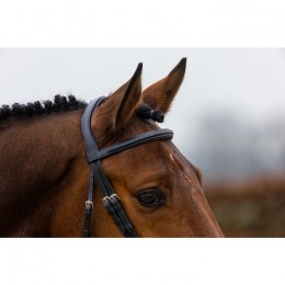 Trust Amsterdam bridle anatomic noseband