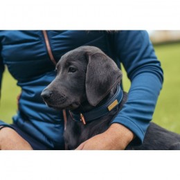 Equestrian Stockholm FW'21 Monaco Blue Honden dog collar
