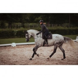 Equestrian Stockholm Dark Sky Dressage saddlepad