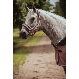 Equestrian Stockholm FW'20 Pink halter