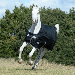 Bucas Anniversary Turnout Silk-Feel