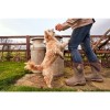 Muck Boot Arctic Sport II Mid