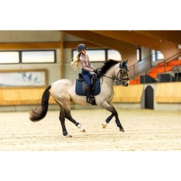 BR FW'24 Eevolv saddle pad Freya