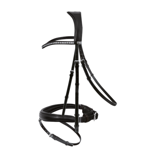 Passier Atlas bridle with large noseband