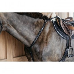 Dyon Braided Breastplate