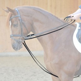 Kavalkade Drawreins Leather