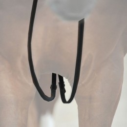 Kavalkade Drawreins Leather