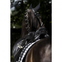 Eskadron FW'22 Essence Big Square Glossy black-creme-darkolive