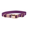 Weatherbeeta Dog Collar Elegance