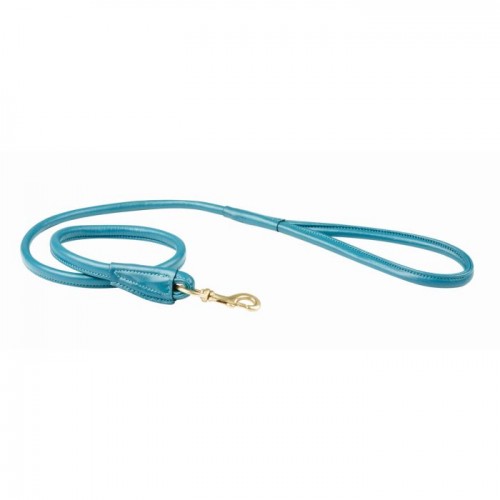 Weatherbeeta Rolled Dog Lead