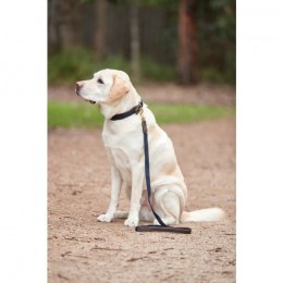 Weatherbeeta Leather Plaited Dog Collar