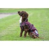 Weatherbeeta ComFiTec Premier Free Parka Deluxe Dog Coat Medium
